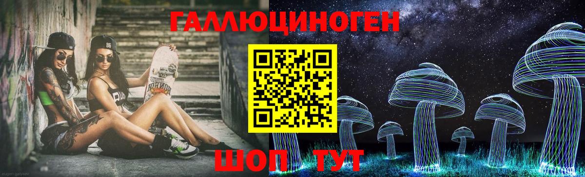 Псилоцибиновые грибы Psilocybine cubensis Щёлково